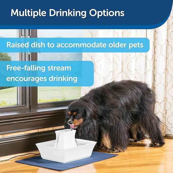 PetSafe Drinkwell Pagoda Fountain - Hygienic Ceramic Continuous Flowing Fountain - Elevated Upper Bowl & Double Free-Falling Stream Design - Minimalist Pet Hydration Station - 70 oz Capacity
