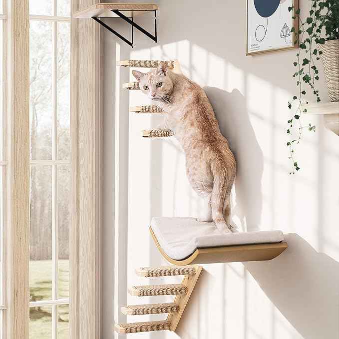 Cat Wall Shelves with Cats Window Perch – 4-Piece Wooden Cat Climbing Furniture Set with Soft Foam Curved Bed, Flat Shelf & 2 Wall 4-Steps Ladders