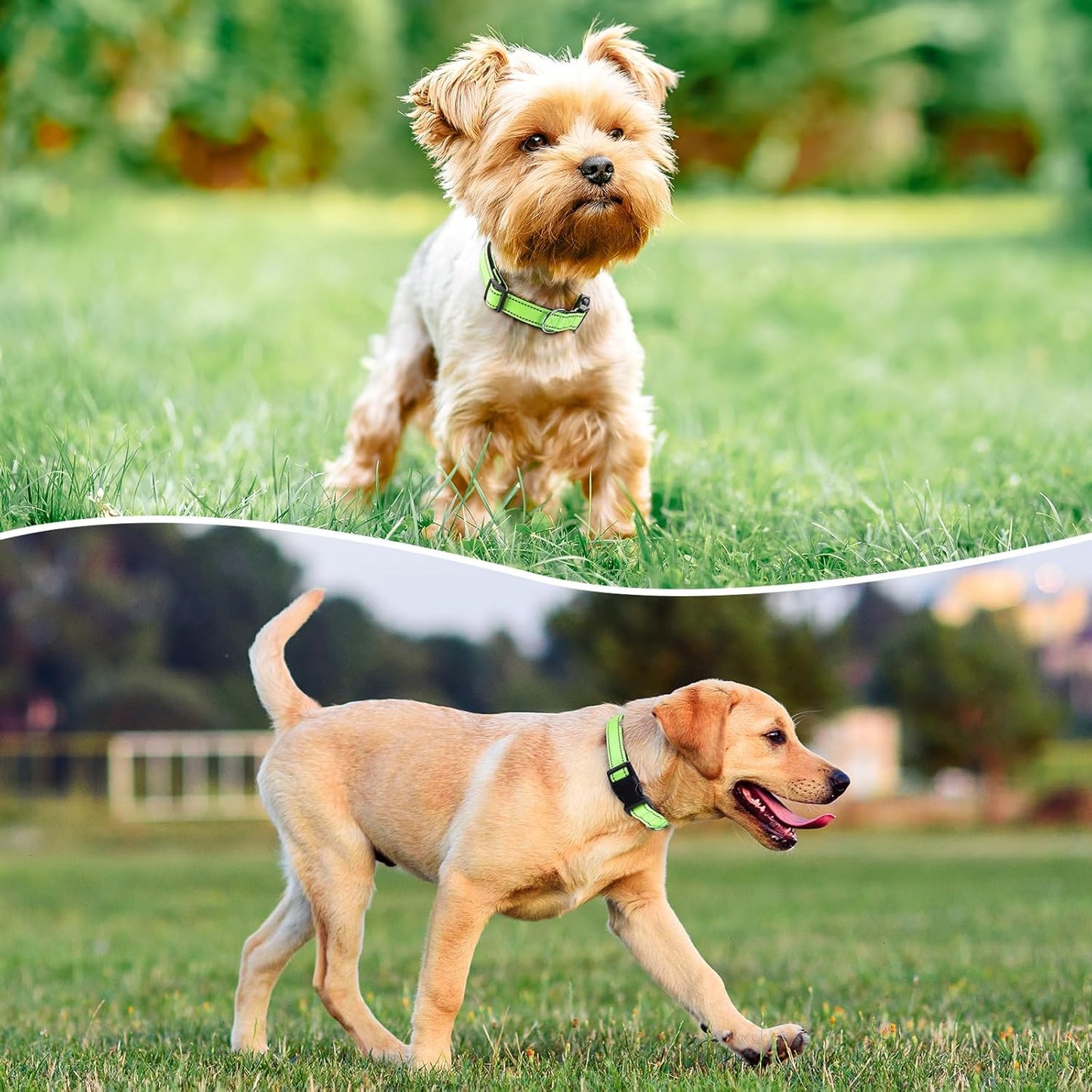 Reflective Dog Collar Padded with Soft Neoprene Breathable Quick Release Basic Dog Collars for Medium Dogs Green Boy Girl