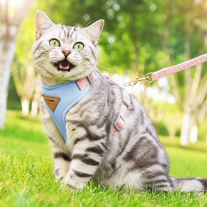 Escape-Proof Cat Harness and Leash Set - Adjustable and Comfortable - Ideal for Walking Cat Outdoors - Fits Small Dogs, Kittens, Medium, and Large Cats (Blue, S)