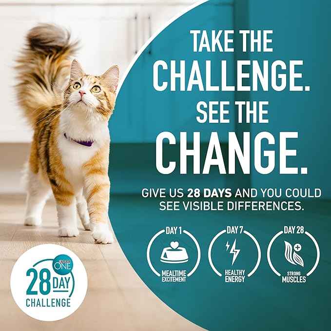 Purina ONE Sensitive Stomach, Sensitive Skin, Natural Dry Cat Food, +Plus Sensitive Skin and Stomach Formula - 22 lb. Bag