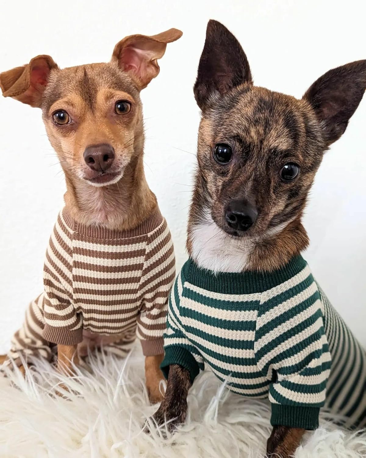 Fitwarm Green and White Striped Dog Pajamas, Waffle Dog Clothes for Small Dogs Girl Boy, Puppy Onesie with Feet, Pet Cat Outfit, Small
