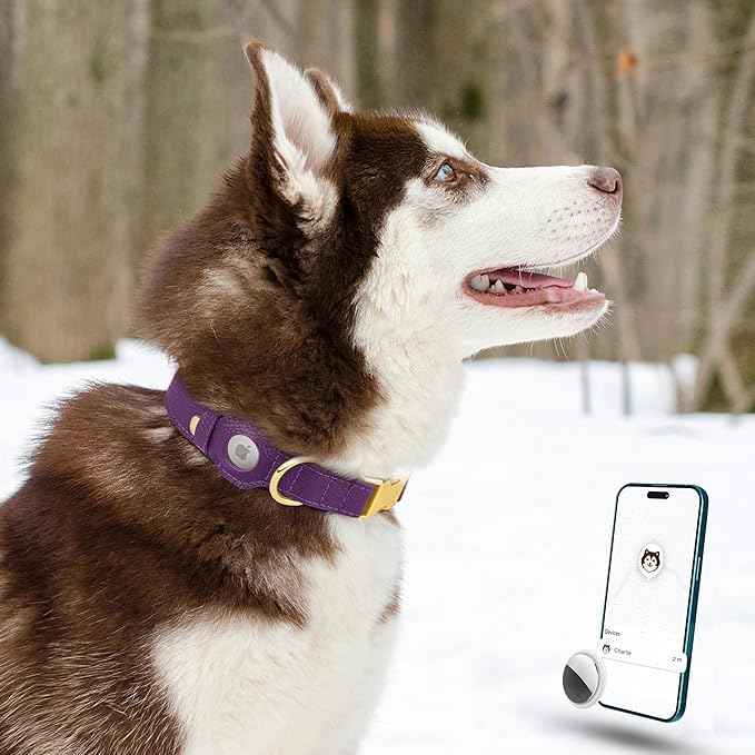 Leather Airtag Dog Collar - Soft Tracking Dog Collar with Apple AirTag Holder and Metal Buckle - Safety GPS Pet Collars for Small Medium Large Dogs Puppy Pink Red (Purple, S, 12"-15" Neck Fit)