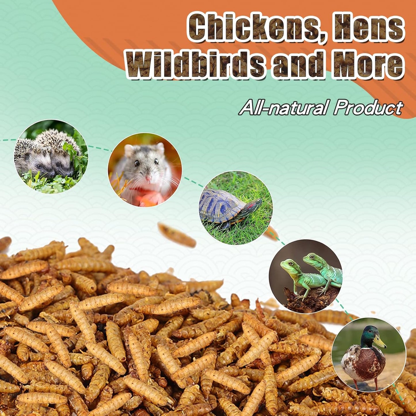 Dried Black Soldier Fly Larvae 20LBS, 85X More Calcium Than Mealworms High-Protein BSF Larvae Chicken Treats Non-GMO BSFL for Chickens, Hens, Ducks, Wild Birds