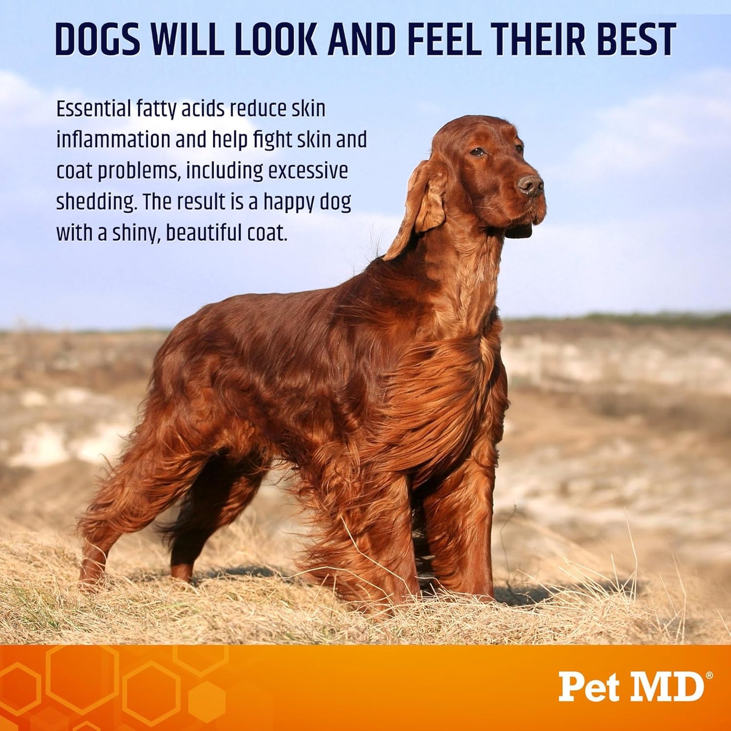 Pet MD Salmon Omega Bites for Dogs - Skin and Coat Supplement with Omega 3 & 6 for Dogs Plus DHA & EPA - Promotes Allergy & Dry Skin Relief - 60ct