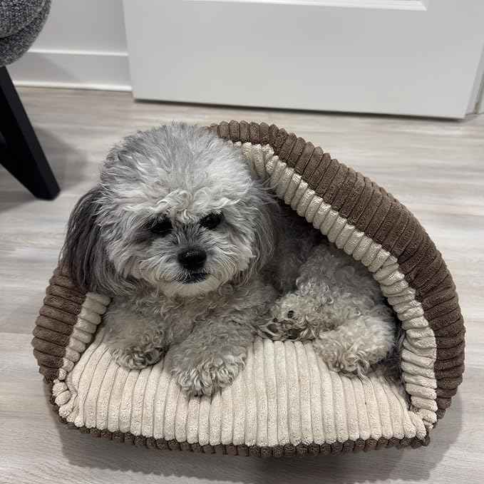 SPOT Sleep Zone Cuddle Cave - Cat Cave Bed for Indoor Cats and Mini Dogs, Durable, Comfortable, Washable for Kittens and Puppies Under 10 lbs and 12 inches Long, Corduroy Brown