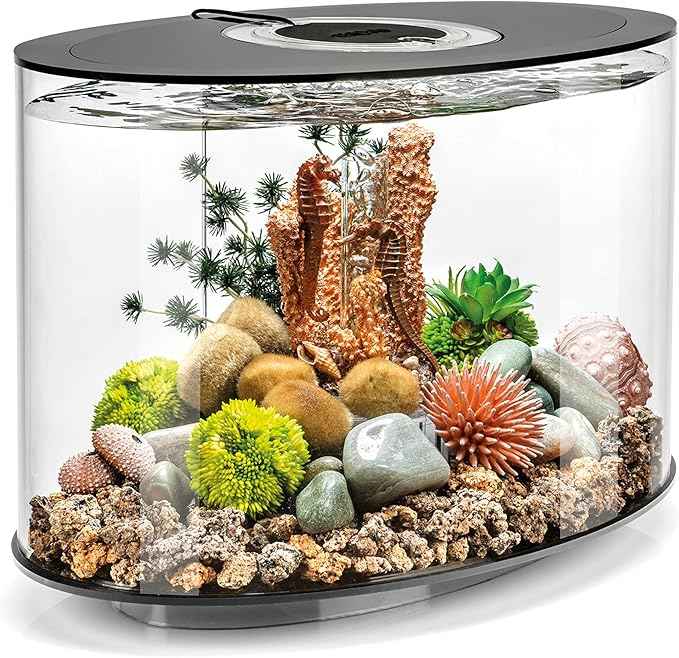 biOrb Loop 15 Acrylic 4-Gallon Aquarium with White LED Lights Modern Compact Tank for Tabletop or Desktop Display, Black-Trimmed Tank