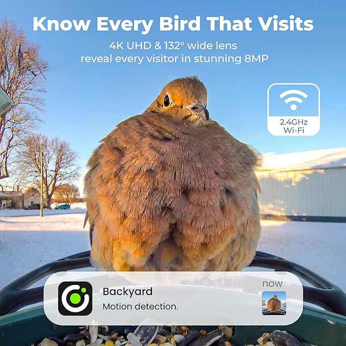 Solar Smart Bird Feeder with Camera, AI Bird Species Identification, 8MP Photos, 4K UHD Video Live Stream Wild Bird House Feeders for Outdoors, Bird Watching Gifts for Bird Lovers, Green
