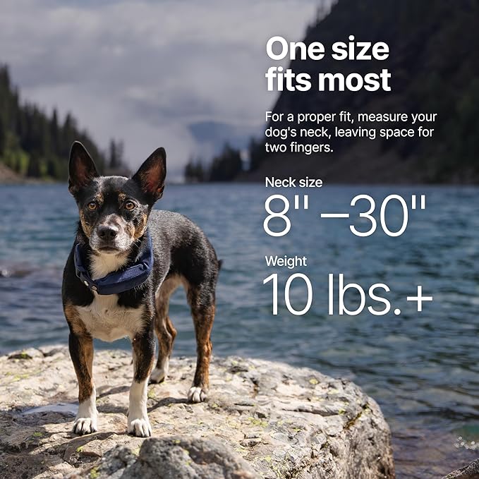 Halo Collar 5 Wireless Dog Fence & GPS Dog Collar, Keep Your Dog Safely Contained Outdoors with App-Controlled Boundaries and Real-Time Tracking, One Size, Orchid