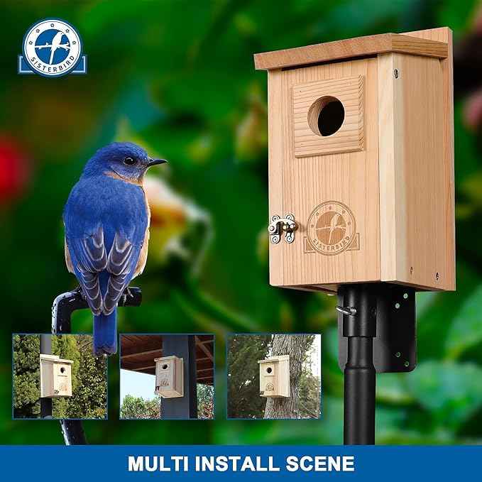 Bird Houses for Outside 1-1/2" Entrance Hole Cedar Wild BirdHouses with Wood Guard Outdoor Bluebird Wren Swallow Finch Assembly Required