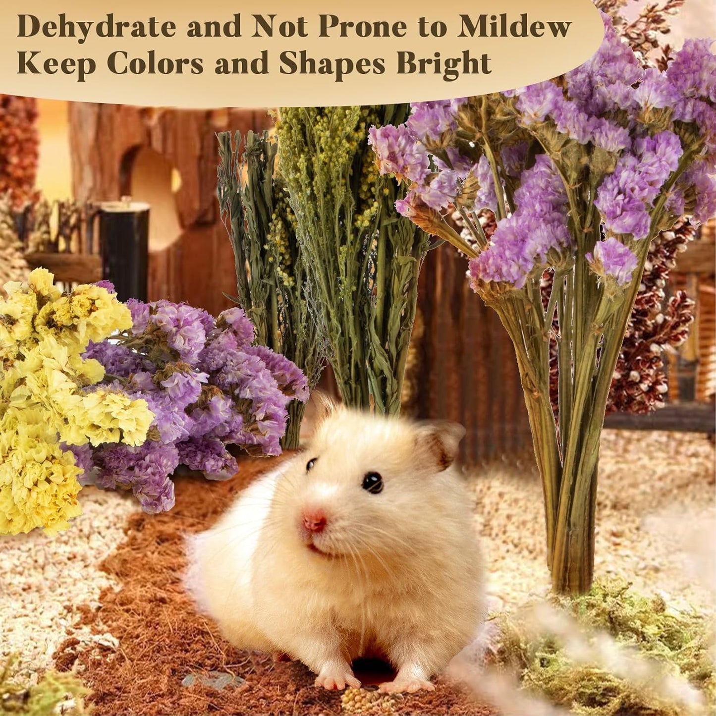 Sukh Nature Flower Herb Hamster Bedding Cage Enclosure Habitat Decor Mate Small Animal Natural Ear of Grain Sprays for Syrian Dwarf Hamsters Gerbils Rabbit Other Pets