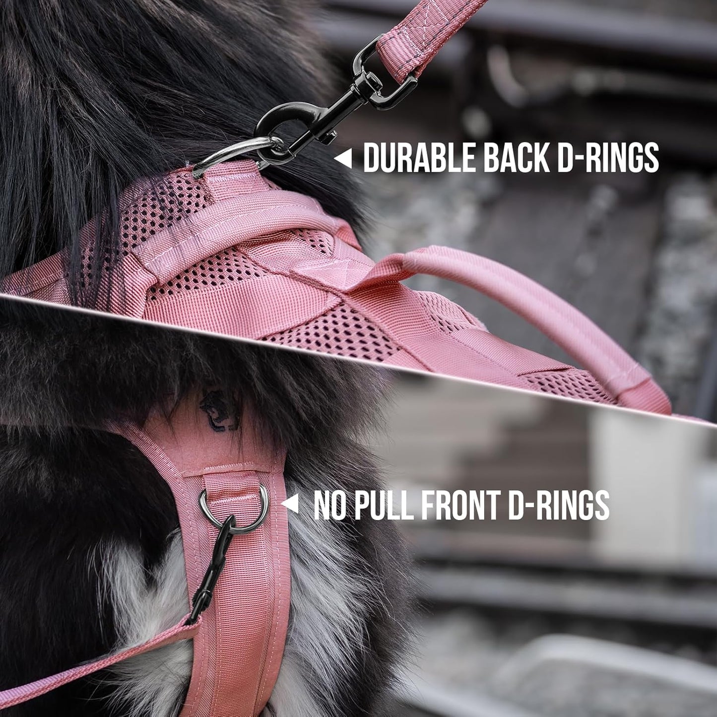 OneTigris Tactical Dog Harness for Small Dogs, No Pull Small Dog Vest Harness with Handles Breathable Military Dogs Molle Vest, Harness for Walking Hiking Training
