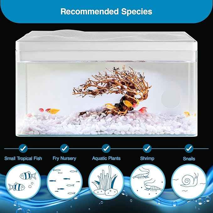Harmony Aquarium Tank Deluxe by Clairnara – All-in-One 8 Gallon Freshwater Fish Tank with LED Light, Quiet Pump, Patented Filtration, and Special Wood Grain Toplid – iF Design Award Winner