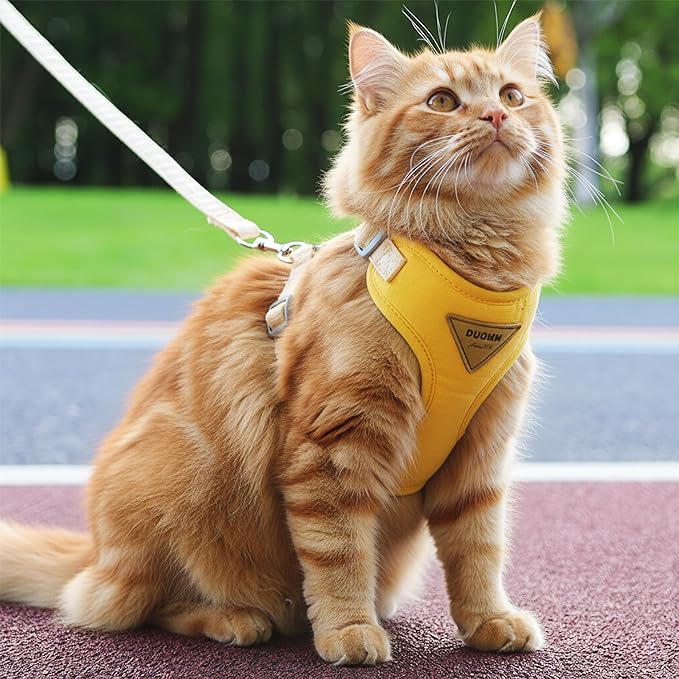 Escape-Proof Cat Harness and Leash Set - Adjustable and Comfortable - Ideal for Walking Cat Outdoors - Fits Small Dogs, Kittens, Medium, and Large Cats (Yellow, M)