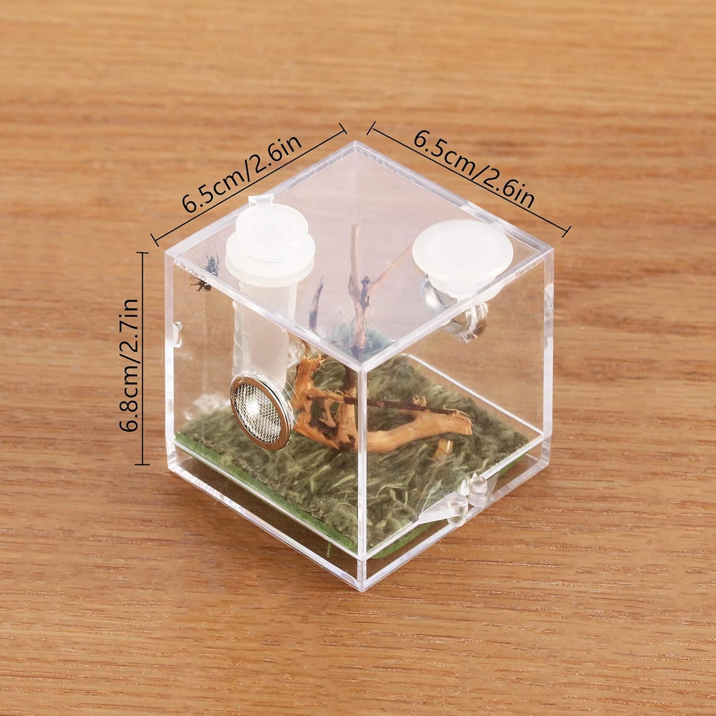 crapelles Jumping Spider Micro Big Habitat, Small Pet Insect Breeding Box, 360 Degree High Transparent Reptile Cage, Acrylic Case Mini Carrier for Amphibians, Feeding Container Enclosure Accessories - FurryFun