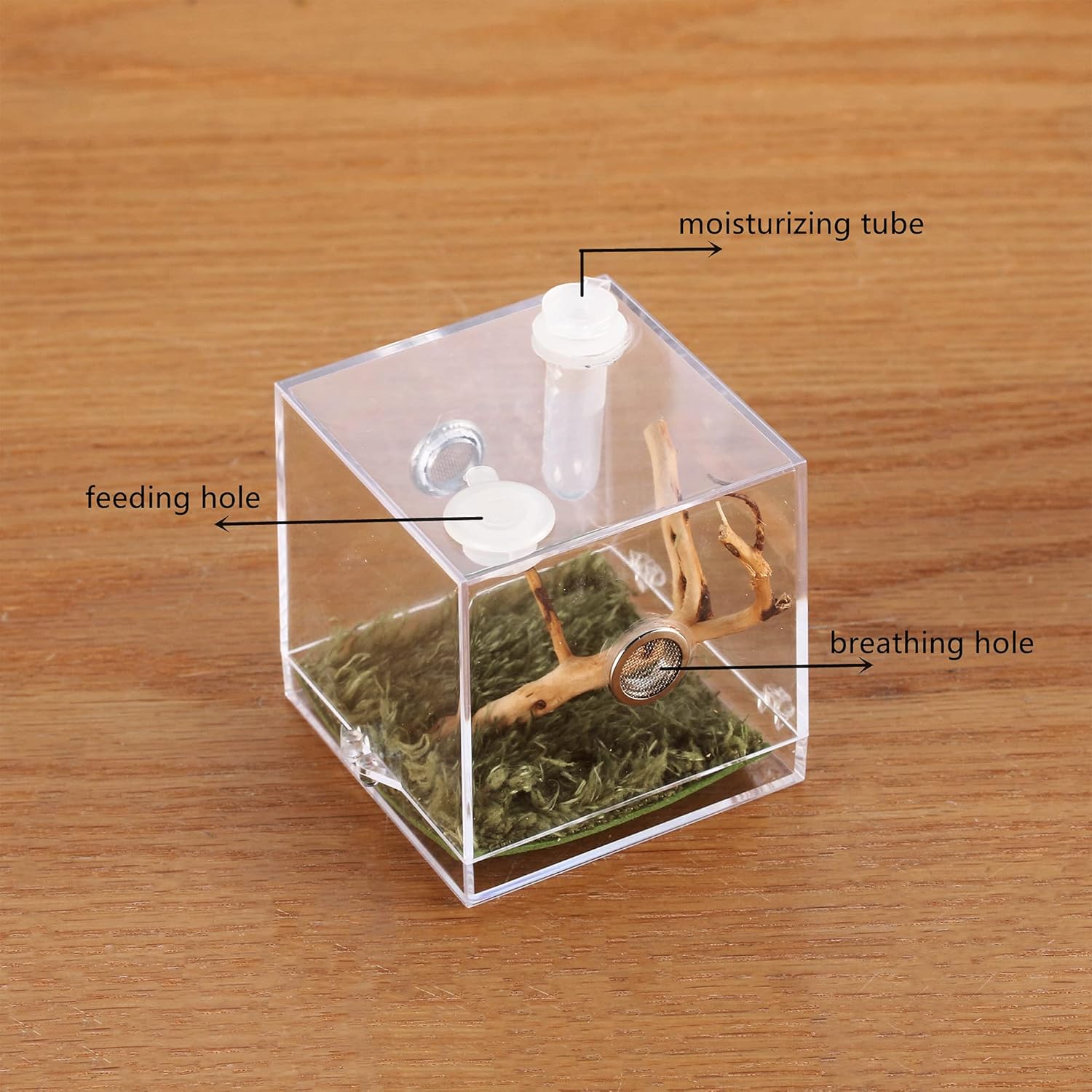 crapelles Jumping Spider Micro Middle Habitat, Small Pet Insect Breeding Box, 360 Degree Transparent Reptile Cage, Acrylic Case Mini Carrier for Amphibians, Feeding Container Enclosure Accessories - FurryFun
