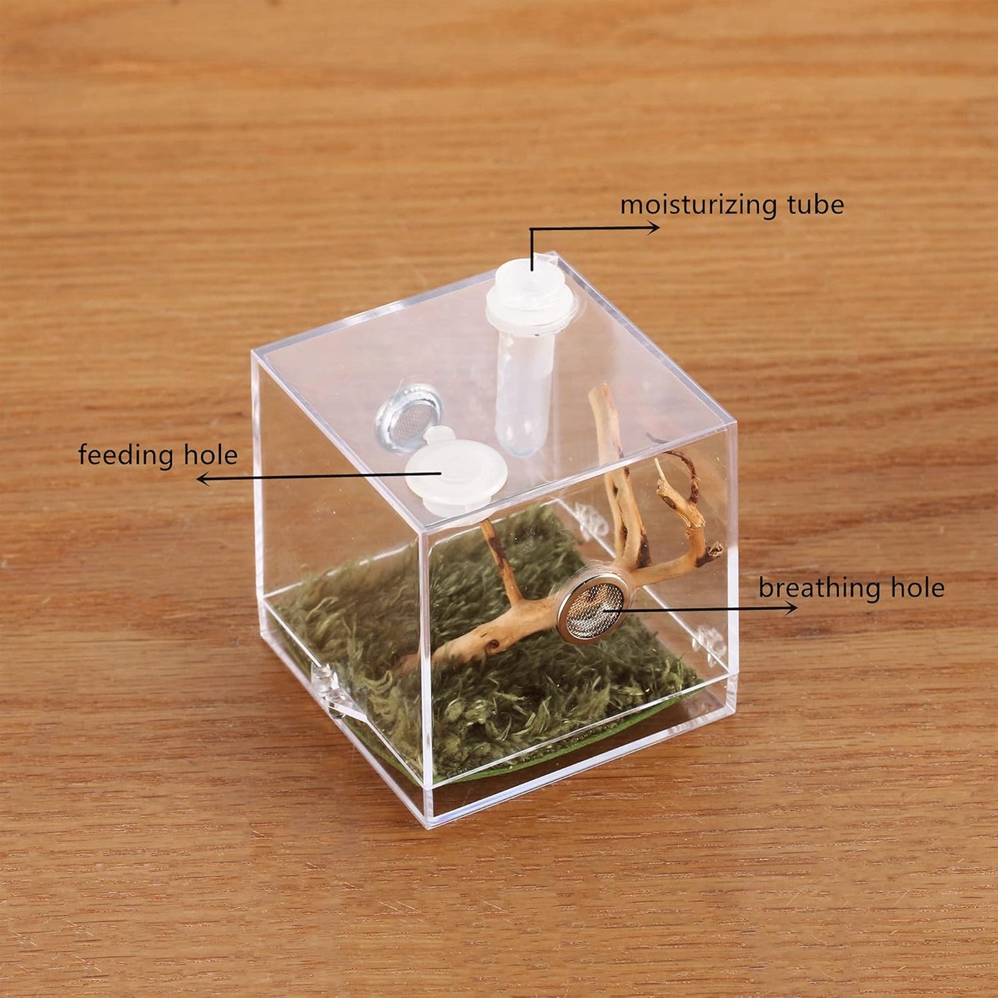 crapelles Jumping Spider Micro Big Habitat, Small Pet Insect Breeding Box, 360 Degree High Transparent Reptile Cage, Acrylic Case Mini Carrier for Amphibians, Feeding Container Enclosure Accessories - FurryFun