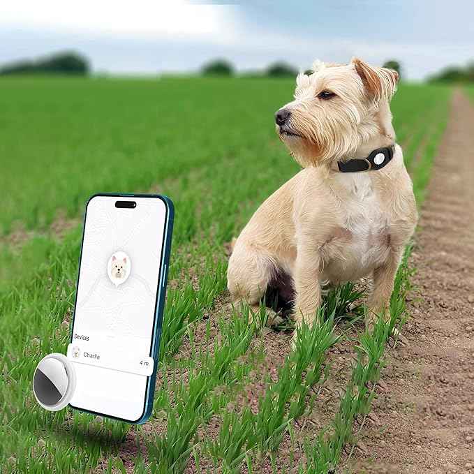 AirTag Dog Collar - Genuine Leather Dog Collar with Apple AirTag Holder and Metal Buckle - Smart GPS Tracking Pet Collars (Smoky Blue, S, 12"-15" Neck Fit) (Black, XS, 9"-12" Neck Fit)