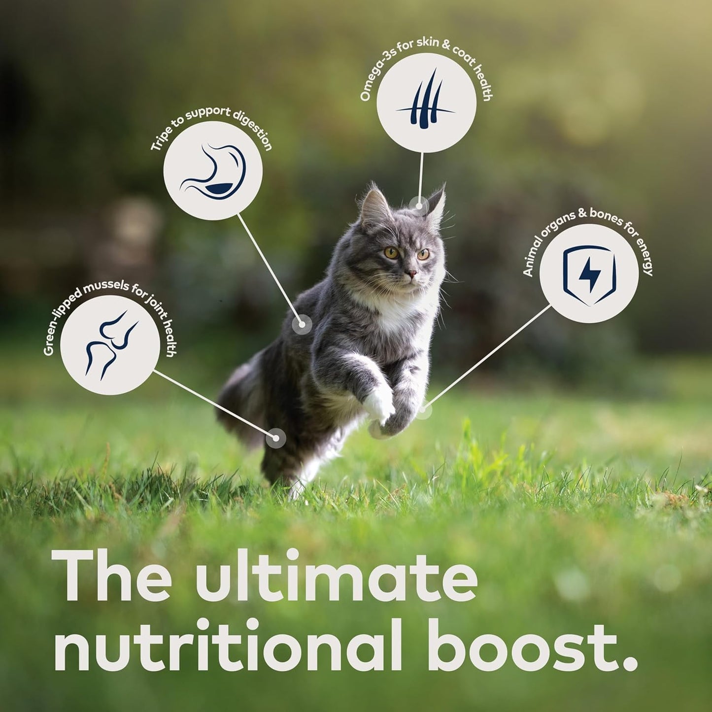 ZIWI Peak Air-Dried Cat Food – Venison - All Natural, High Protein, Grain Free, Limited Ingredient w/ Superfoods (14oz)