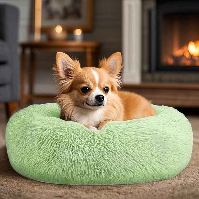 Hoewina Dog & Cat Bed, 20in Cat Beds for Indoor Cats, Calming Donut Bed for Puppy and Kitten, Washable Round Fluffy Pet Bed for Small Medium Dogs and Cats (Green)