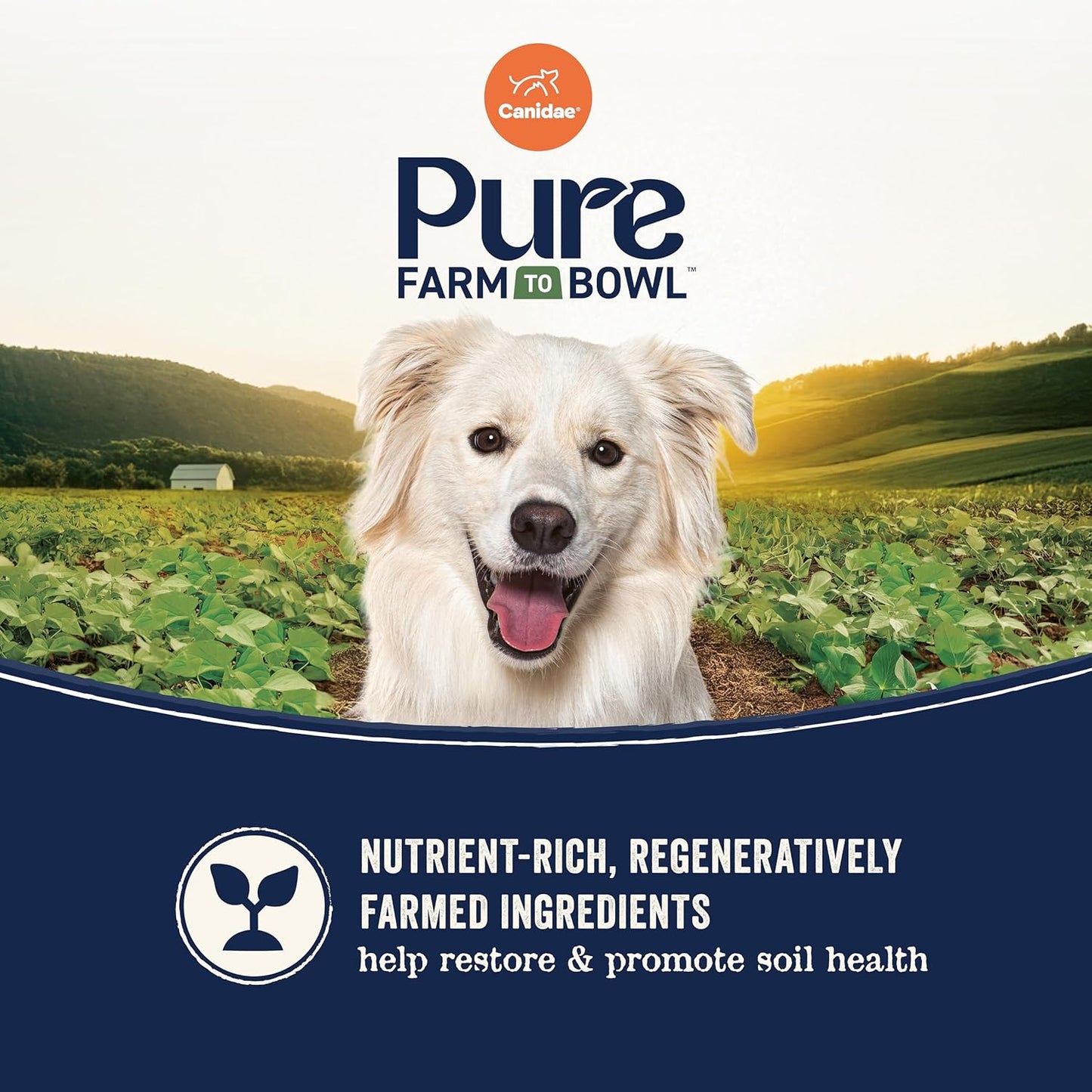 Canidae Pure Farm to Bowl, Grain-Free, Wild-Caught Salmon & Sweet Potato Dog Food, Adult 22lb