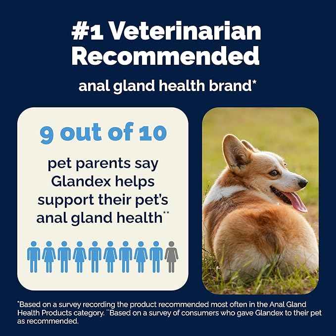 Vetnique Glandex Anal Gland Soft Chew Treats with Pumpkin for Dogs Digestive Enzymes, Probiotics Fiber Supplement for Dogs Boot The Scoot (30ct, Peanut Butter Chews) (Pack of 2)