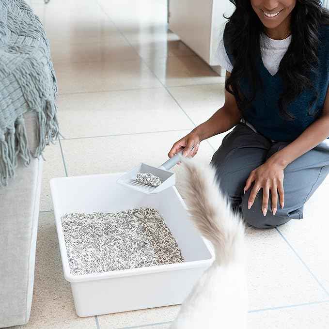 Tuft & Paw Really Great Cat Litter OdorStop, Low Tracking Mixed Tofu Cat Litter, Clumping, Multi-cat, Odor Control, Dust-Free - 9.25lbs x 2Bags (OdorStop)
