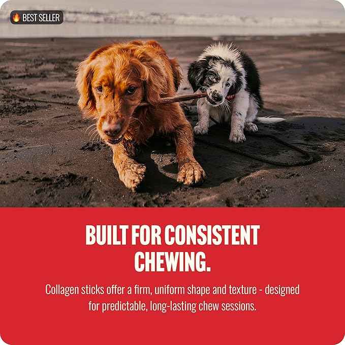 Natural Farm Bully Coated Gourmet Collagen Sticks (12 Inch, 5 Pack), Real Bully Beef Coated, 95% Natural Collagen, Supports Healthy Joints, Skin & Coat - Best for Small & Medium Dogs