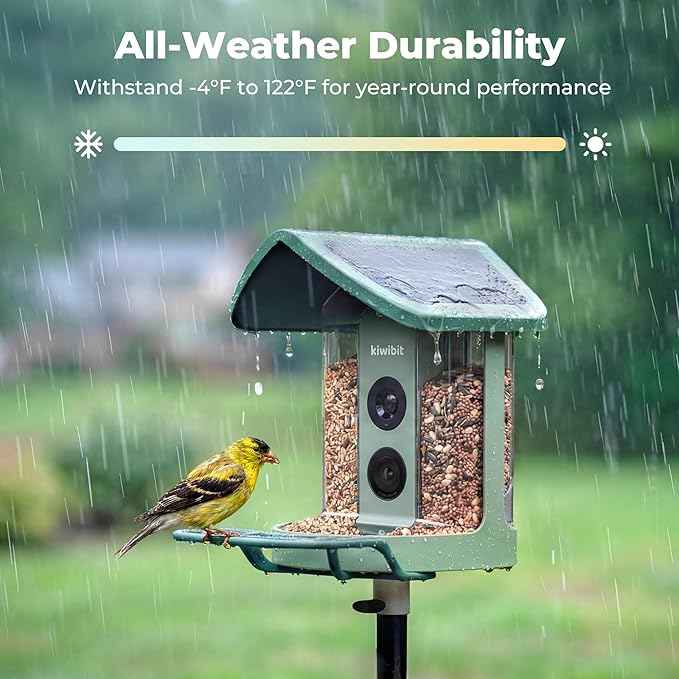 Solar Smart Bird Feeder with Camera, AI Bird Species Identification, 8MP Photos, 4K UHD Video Live Stream Wild Bird House Feeders for Outdoors, Bird Watching Gifts for Bird Lovers, Green