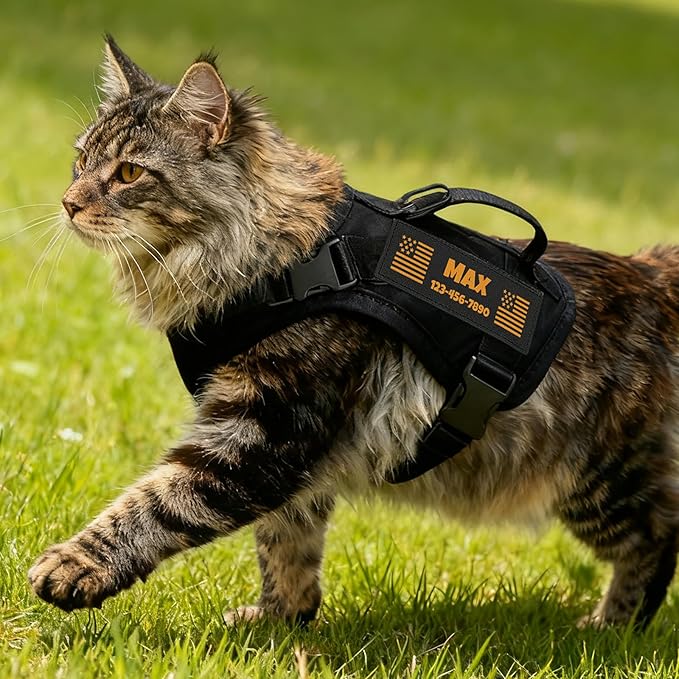 Custom Black Tactical Cat Harness and Leash Escape Proof Adjustable Vest with Reflective Strips and Personalized Patch Soft Breathable Outdoor Gear for Walking Training Fits Cats 7-12 lbs