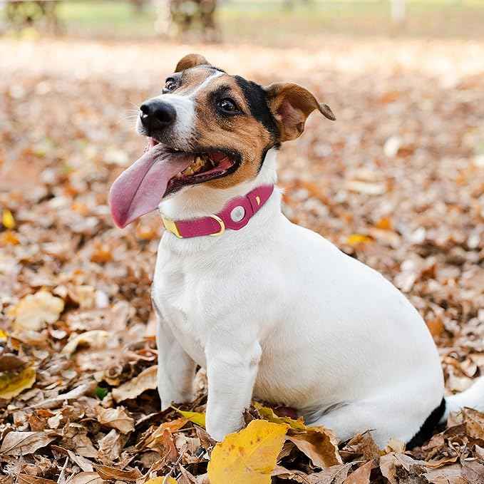 Leather Airtag Dog Collar - Soft Tracking Dog Collar with Apple AirTag Holder and Metal Buckle - Safety GPS Pet Collars for Small Medium Large Dogs Puppy Pink Red (Pink, XS, 9"-12" Neck Fit)