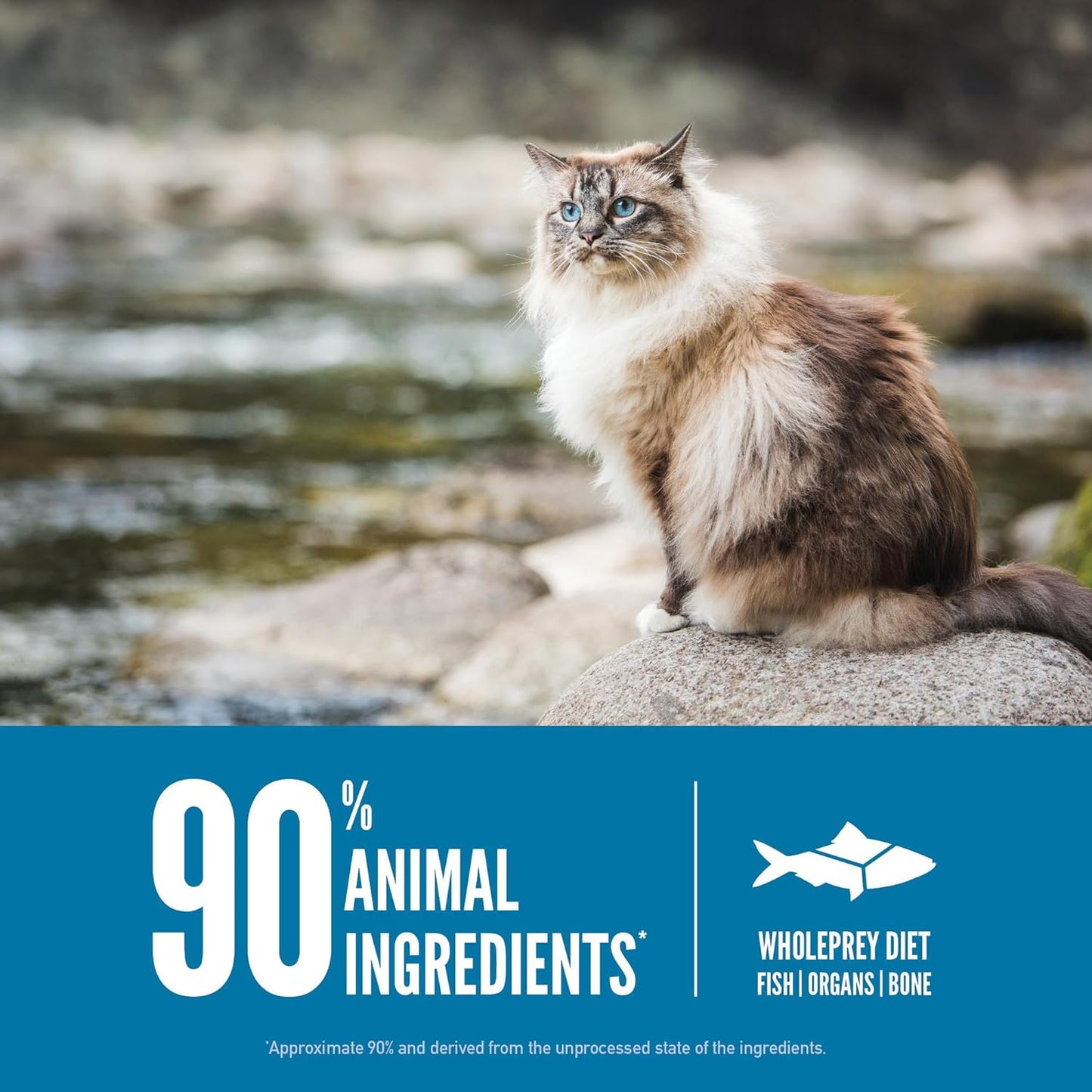 ORIJEN Grain Free High Protein Premium Dry Cat Food Six Fish Recipe 12lb Bag