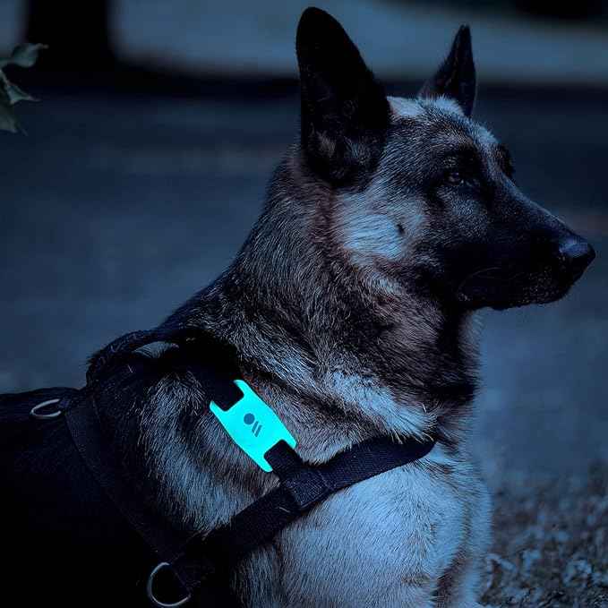 Case-Mate 2 Pack Airtag Dog Collar Holder - Water Resistant Airtag Holder Tag - Protective Case for Pet Collar Tag Loop - Compatible with Cat/Dog Collars - Black & Glow in The Dark