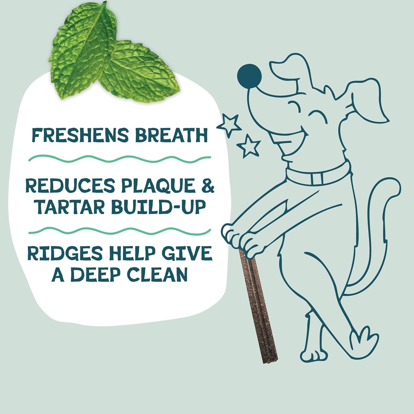 Shameless Pets Dental Treats for Dogs, Carrate Chomp (32 Sticks) - Supports Skin & Coat for Teeth Cleaning & Fresh Breath - Dog Bones Dental Chews Free from Grain, Corn & Soy