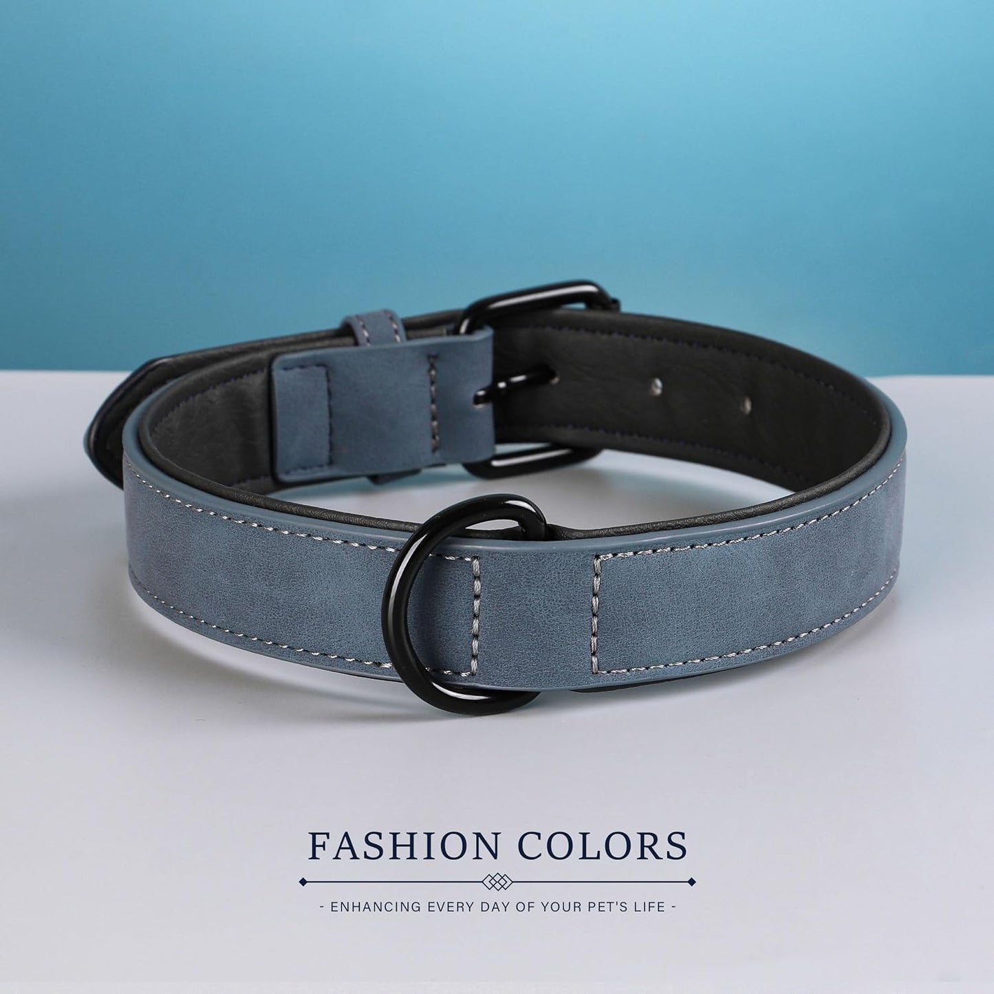 Didog Soft Padded PU Leather Dog Collar, Breathable and Adjustable Dog Collars for Small Dogs, Comfortable for Daily Walk, Blue, M Fit Neck 12-15"(13-22 lbs)
