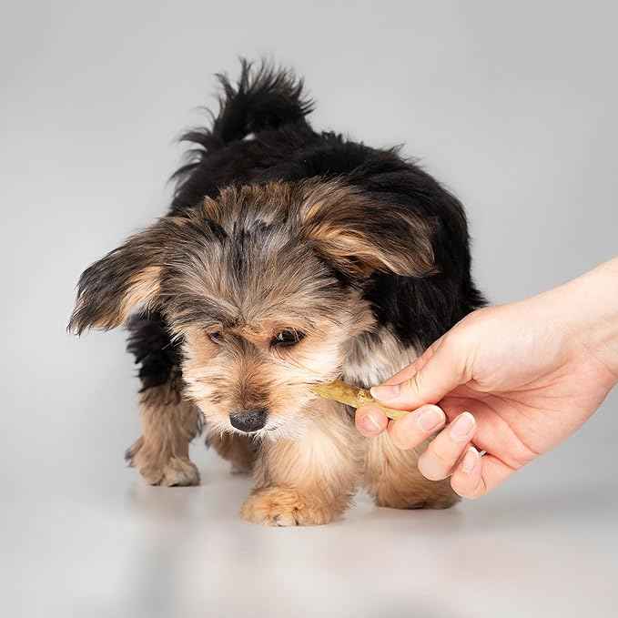 Fieldcrest Farms Nothing to Hide Natural Rawhide Alternative Small Twist Stix for Dogs - (10 Sticks) All Natural Easily Digestible Chews for All Breed Dogs - Great for Dental Health (Pack of 2)