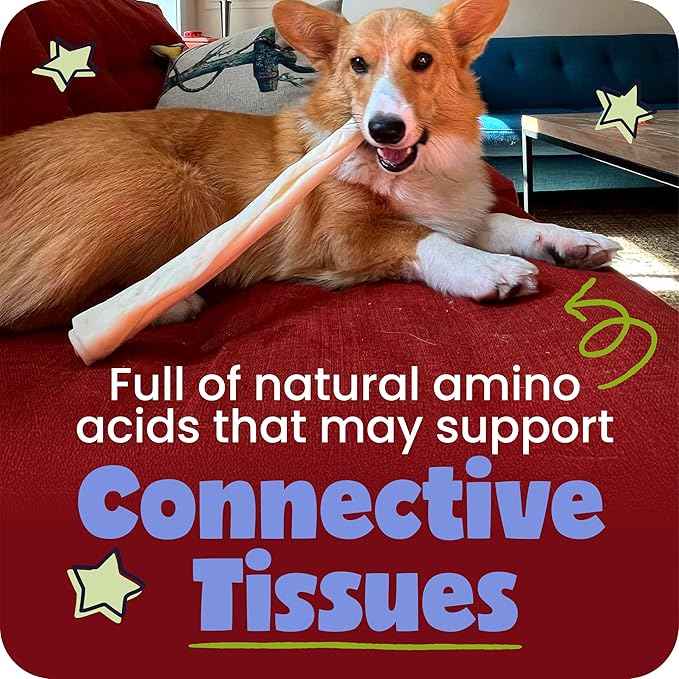 Pawstruck Natural Large Collagen Stick Springs for Dogs - Vet-Approved Long Lasting Alternative to Traditional Rawhide & Bully Sticks with Glucosamine & Chondroitin - 4 Pack - Packaging May Vary