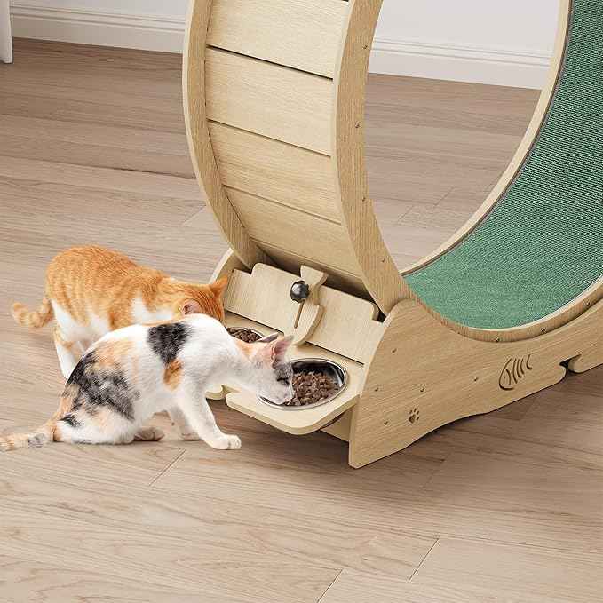 55" Multi-Cat Exercise Wheel with 3-Level Jumper & Scratching Pad - Silent TPE Spinner Activity Center with Rest Area to Prevent Boredom and Obesity in Indoor Cats