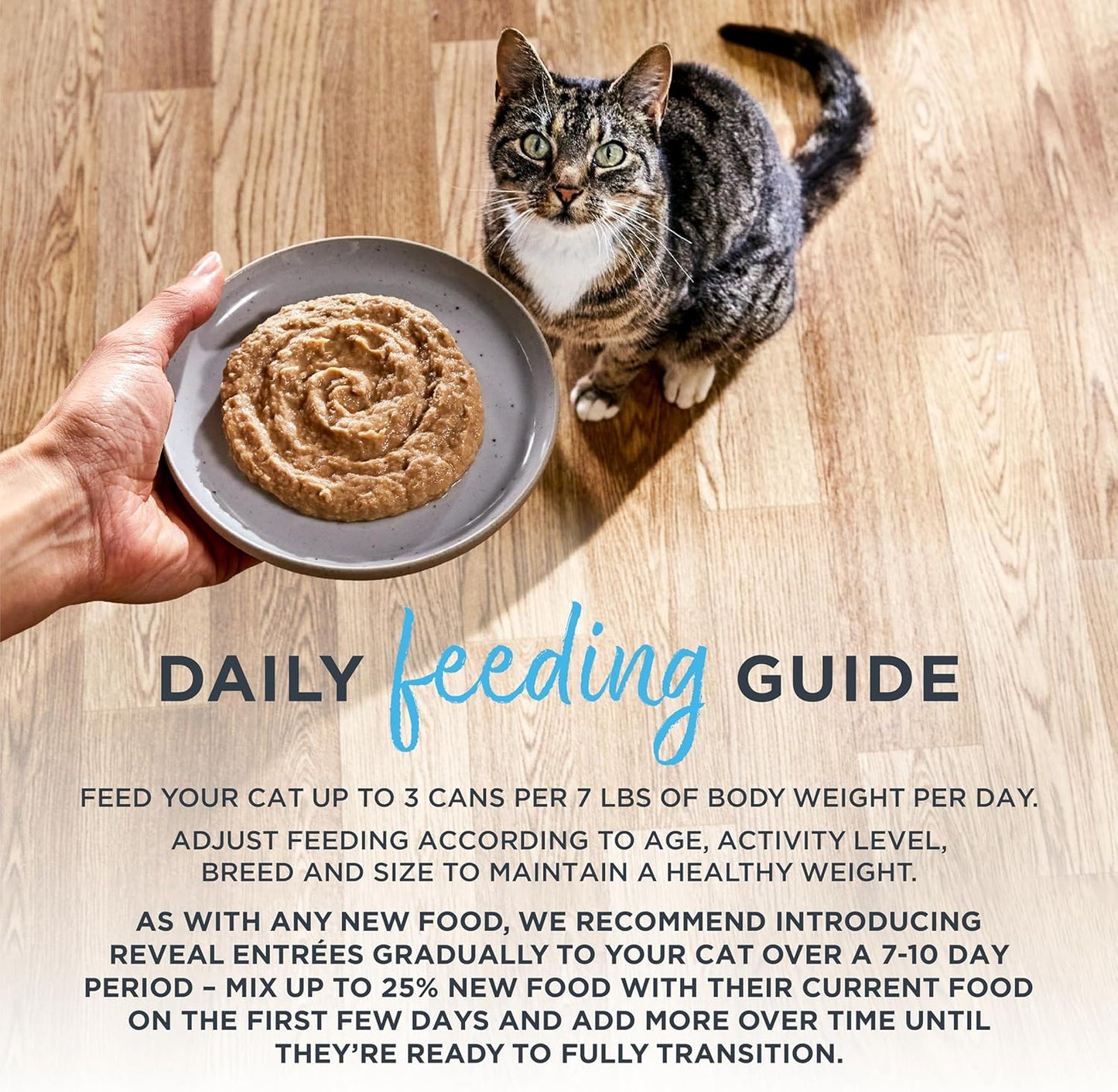 Reveal Entrées Natural Wet Cat Food Paté, Grain-Free with Added Vitamins & Minerals, Carrageenan-Free Variety Selection in Pate (20 x 2.47 oz cans)