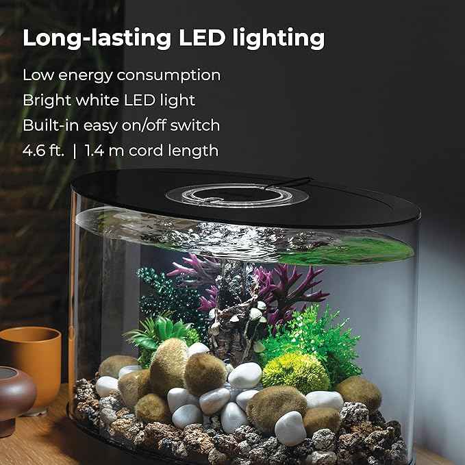 biOrb Loop 15 Acrylic 4-Gallon Aquarium with White LED Lights Modern Compact Tank for Tabletop or Desktop Display, Black-Trimmed Tank