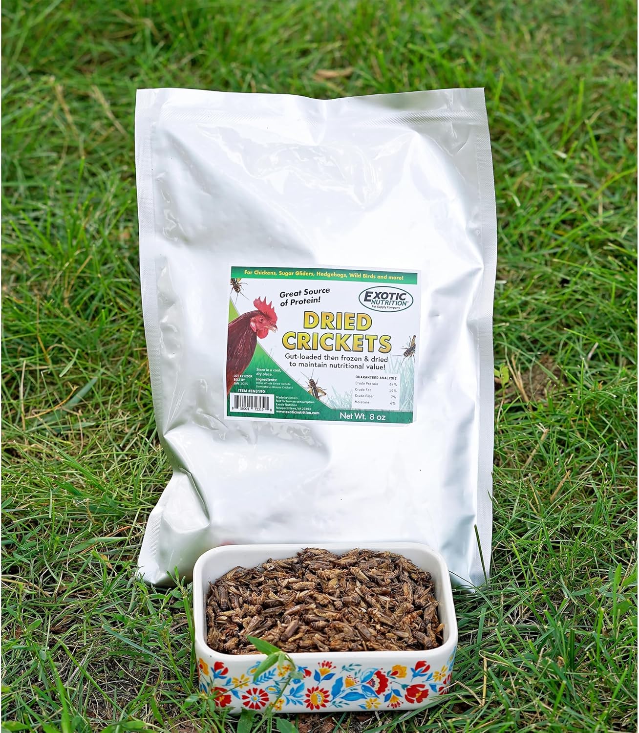 1.5 Pound Dried Crickets - High Protein Insect Treat - Chickens, Wild Birds, Hedgehogs, Bluebirds, Reptiles, Sugar Gliders, Opossums, Skunks, Lizards, Bearded Dragons, Fish, Turtles 8 oz. (3 Pack)