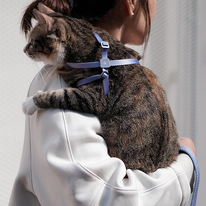 Cat Harness Escape-Proof Anti-Choking Adjustable Nylon Harness Lightweight with Anodized Aluminum Buckle, Ideal for Cats Outdoor Walking and Training, IDA Award (Vivid Red, S (13.8"))