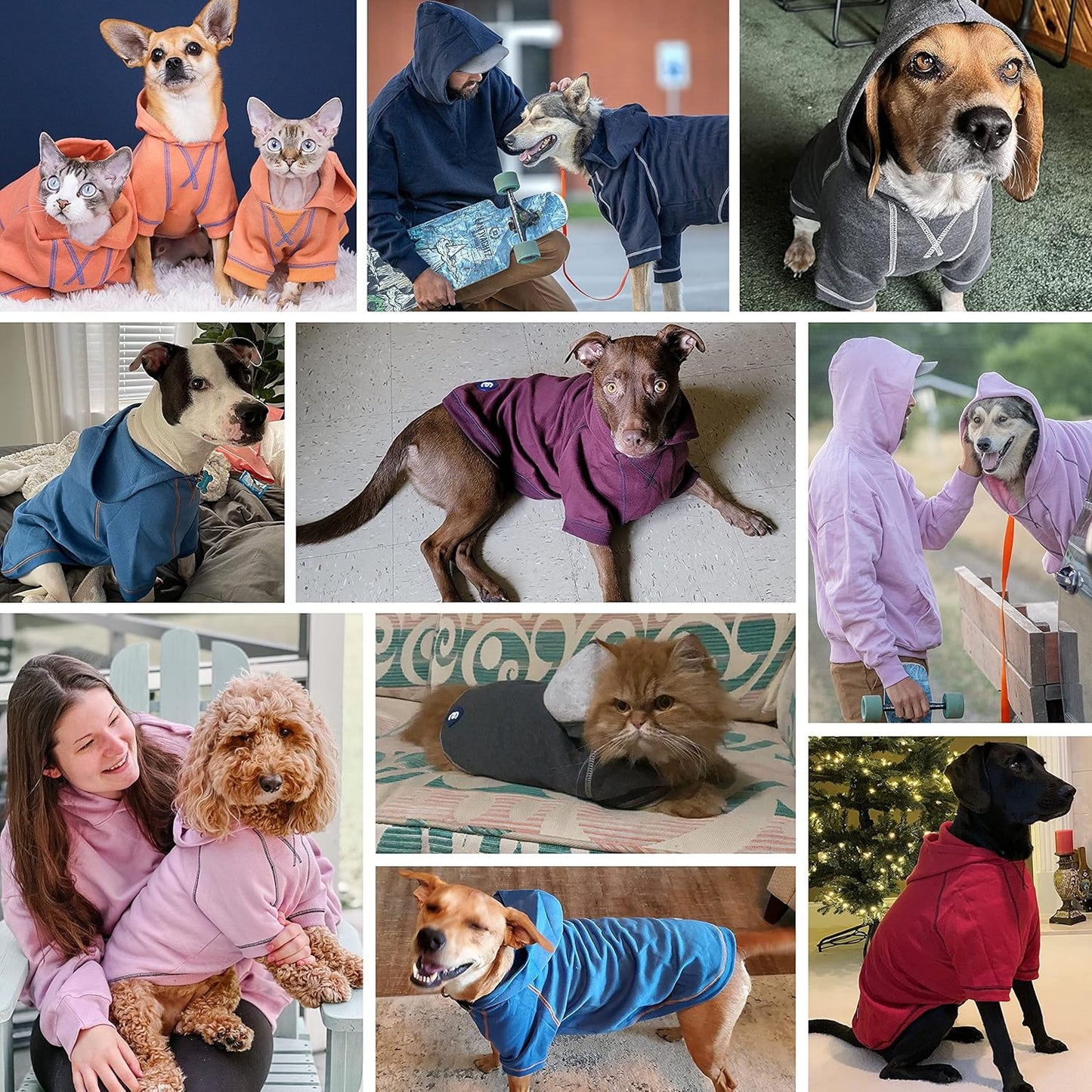 Blueberry Pet Essentials Dog Hoodie – 24 inch, Cotton‑Blend Sweatshirt with Hood, Coral, Machine‑Washable Small‑Dog Jersey