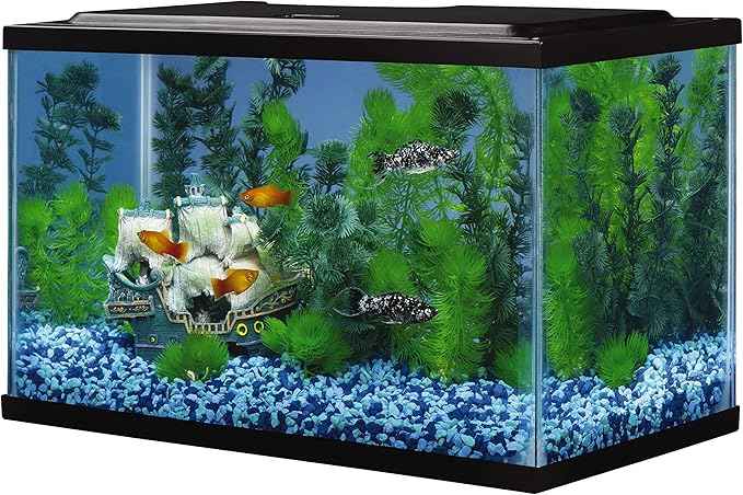 Tetra Glass Aquarium 5.5 Gallons, Rectangular Fish Tank