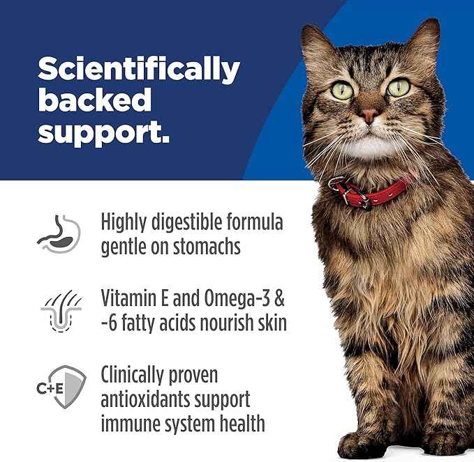Hill's Science Diet Adult 1-6 Sensitive Stomach & Skin Dry Cat Food, Salmon Recipe, 6 lb. Bag