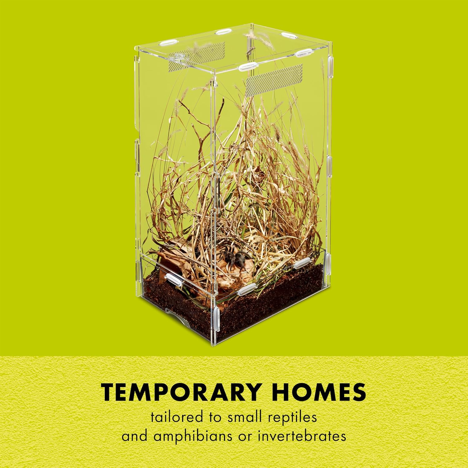 Zilla Micro Habitat Terrarium, Arboreal, with Locking Latch, for Isopods, Spiders, Insects, Small - FurryFun