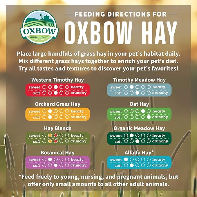 Oxbow Animal Health Western Timothy Hay - All Natural Hay for Rabbits, Guinea Pigs, Chinchillas, Hamsters & Gerbils - 15 oz. (Pack of 2)