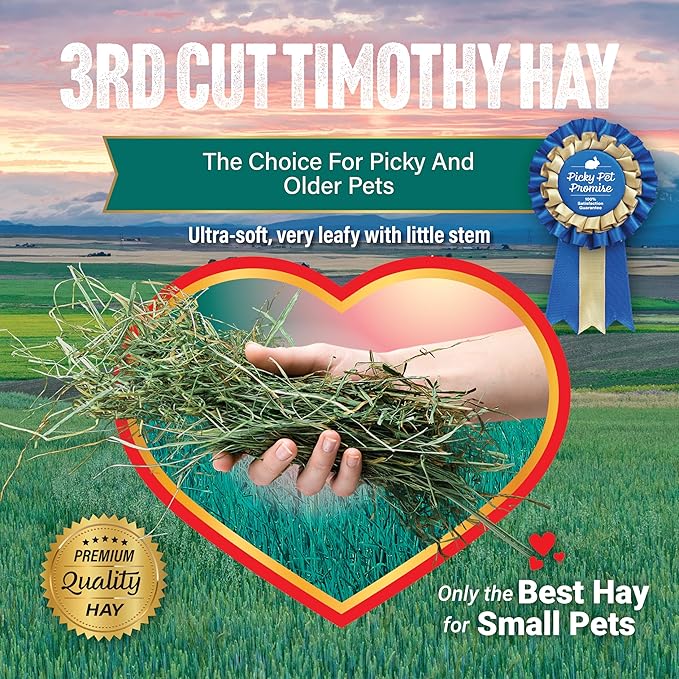 Small Pet Select 3rd Cutting Timothy Hay, Animal Food for Guinea Pig, Rabbit, Hamster, Bunny, or Chinchilla, Natural Hay Grown in The USA, 5lb