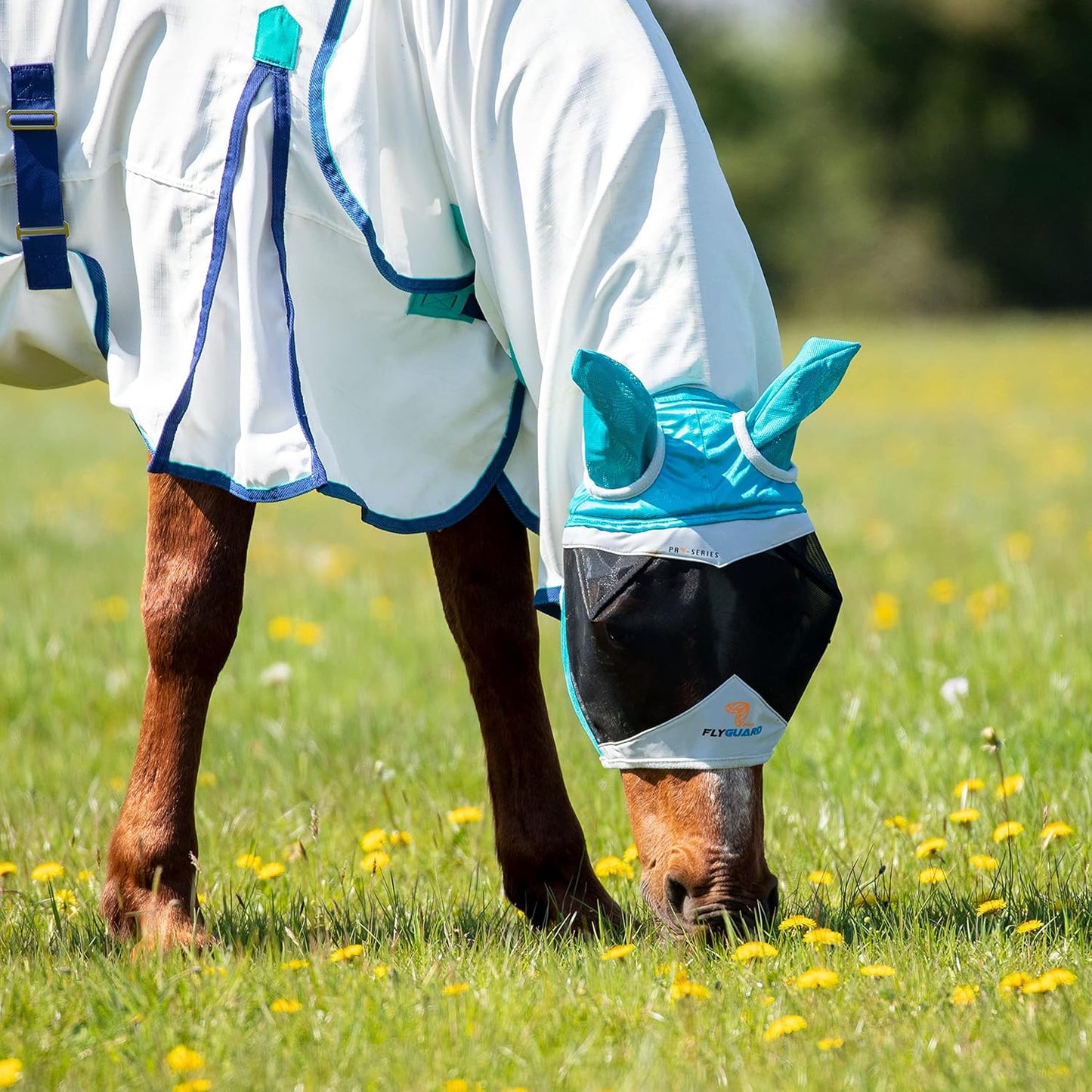 Shires Fine Mesh Horse Equine Fly Mask with Ears 60% UV Protection (Cob, Teal)