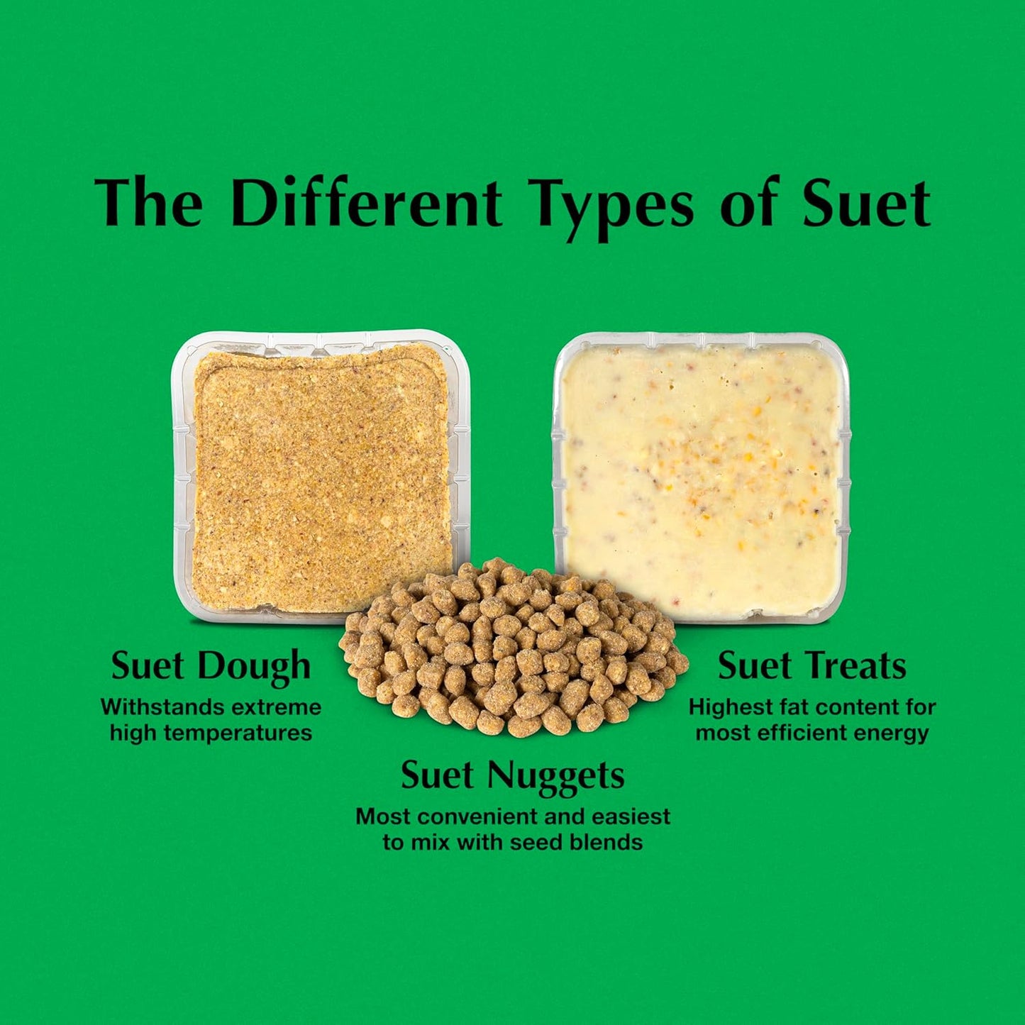 C&S Wild Bird Bluebird Suet Nuggets Mega Box, 8 Pounds